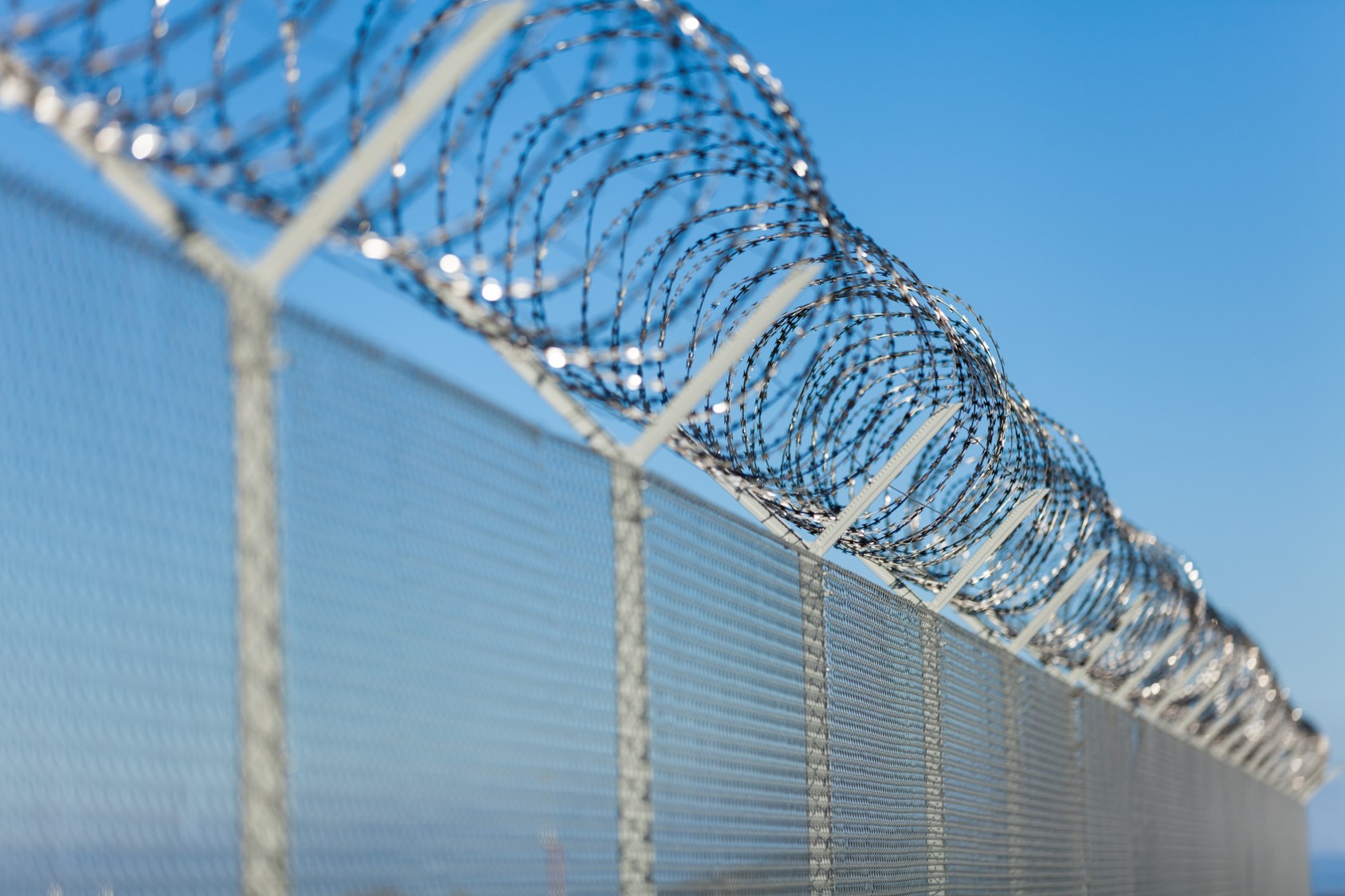 Perimeter fence with coils of barbed wire